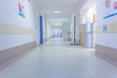О клинике в Краснообске